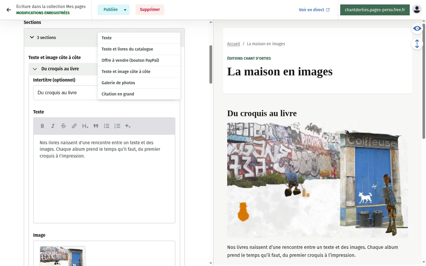 Menu « Ajouter une entrée de type section » ouvert avec ses six sortes, et aperçu d’une section texte et image